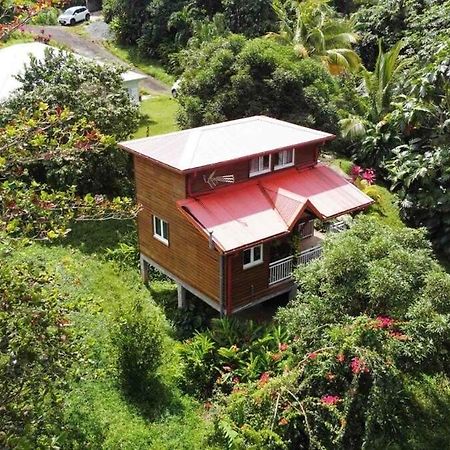 Mahogany Lodge - Oasis Cosy Riviere-Pilote Экстерьер фото
