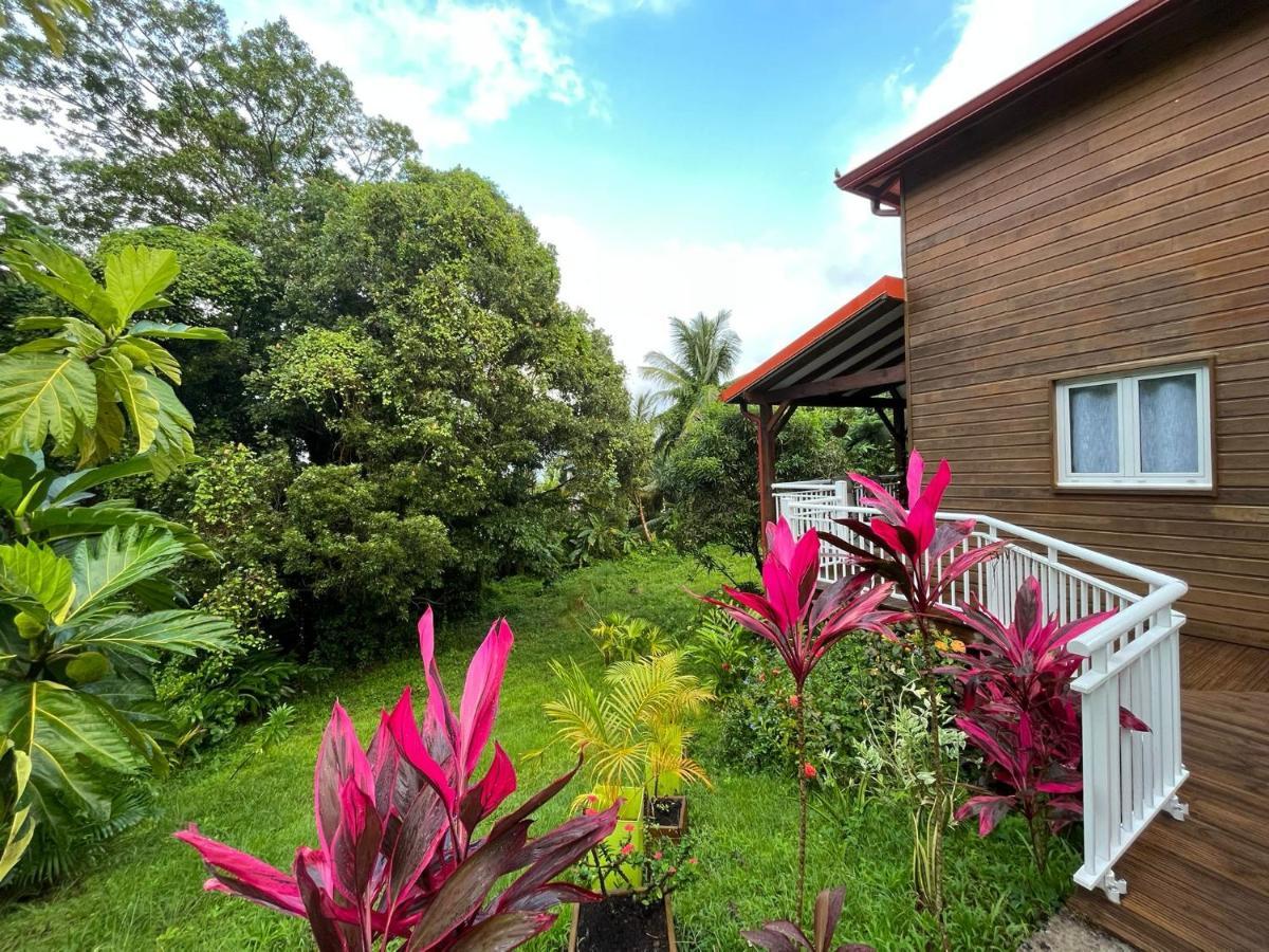 Mahogany Lodge - Oasis Cosy Riviere-Pilote Экстерьер фото