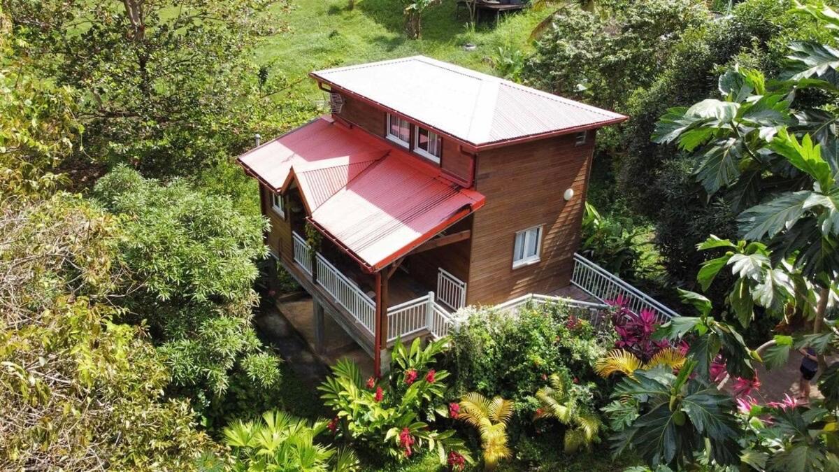 Mahogany Lodge - Oasis Cosy Riviere-Pilote Экстерьер фото