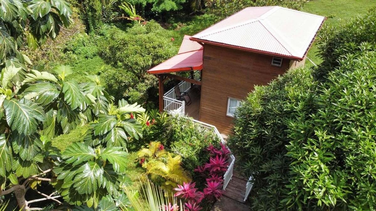 Mahogany Lodge - Oasis Cosy Riviere-Pilote Экстерьер фото